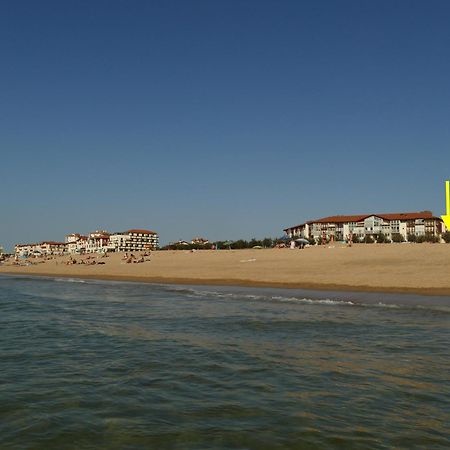 La Dune D'Or - Vue Mer, Studio Face A La Plage Avec Terrasse Soorts-Hossegor Extérieur photo